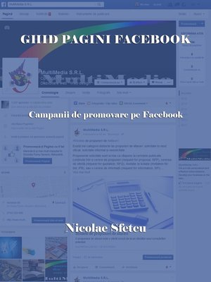 cover image of Ghid pagini Facebook